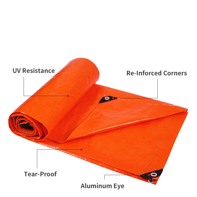 Tarpaulin Plastic Sheet